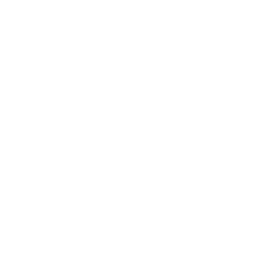親権・監護権